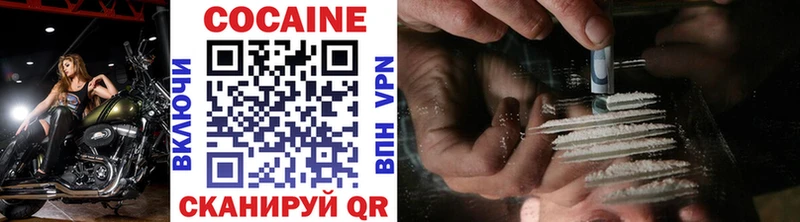 Cocaine Fish Scale  Кандалакша 