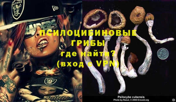 дмт Зеленокумск