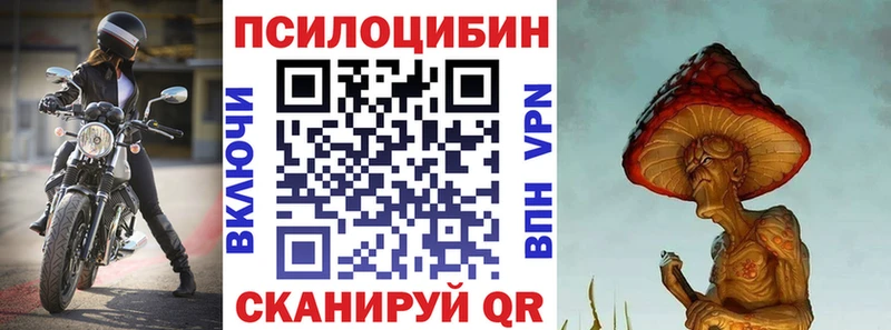 Галлюциногенные грибы Magic Shrooms продажа наркотиков Кандалакша
